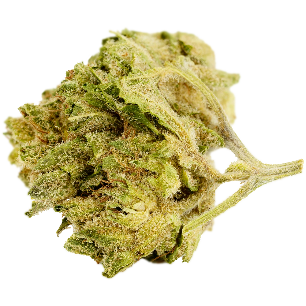 Cannamedical Indica forte NG