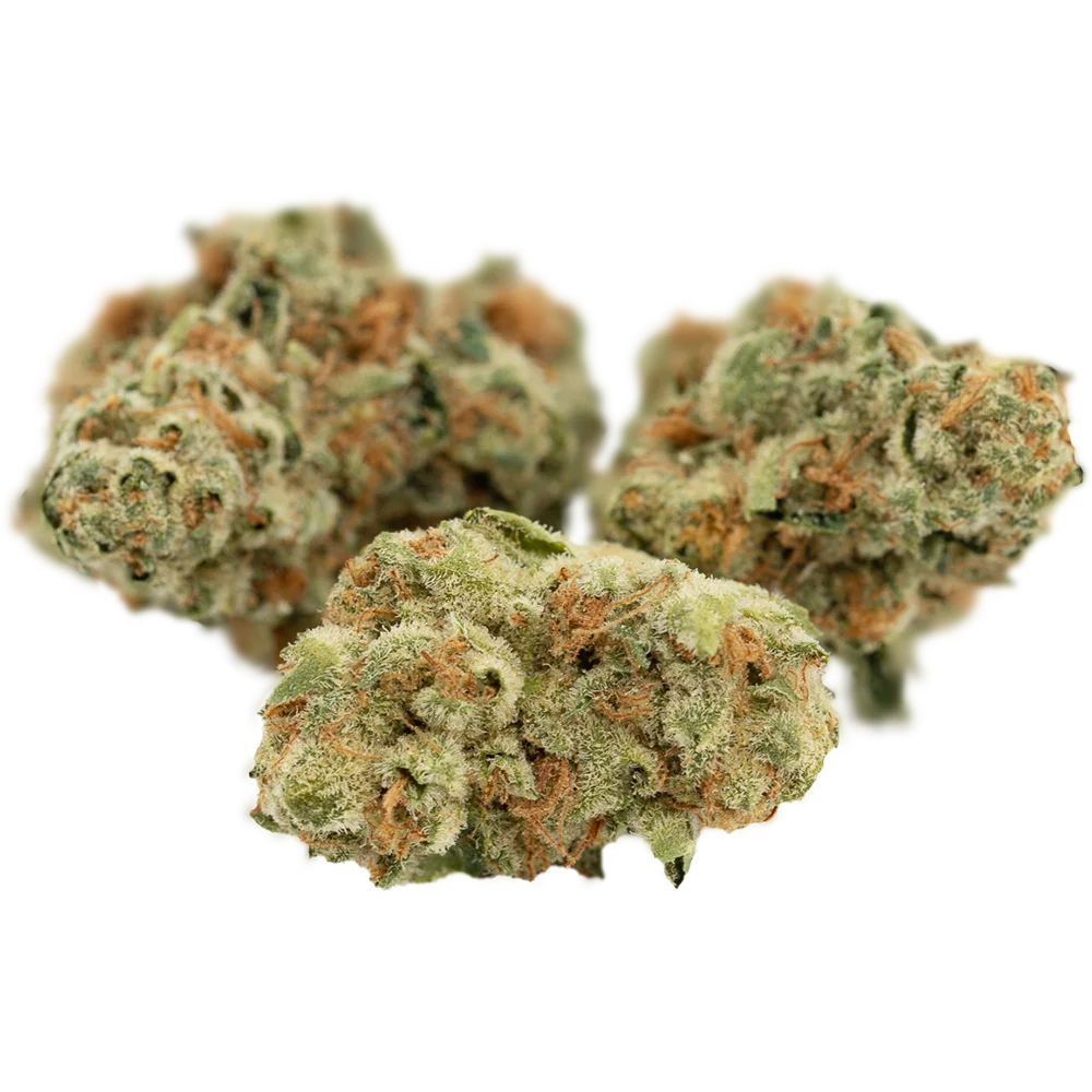 Cannamedical Sativa classic AU