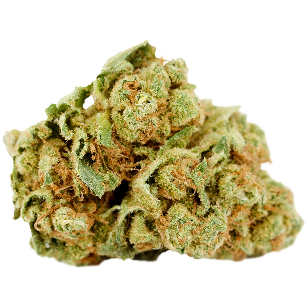 Cannamedical Sativa classic