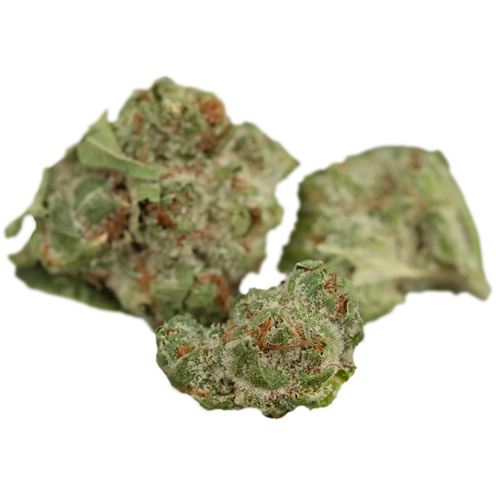 Cannamedical Sativa forte