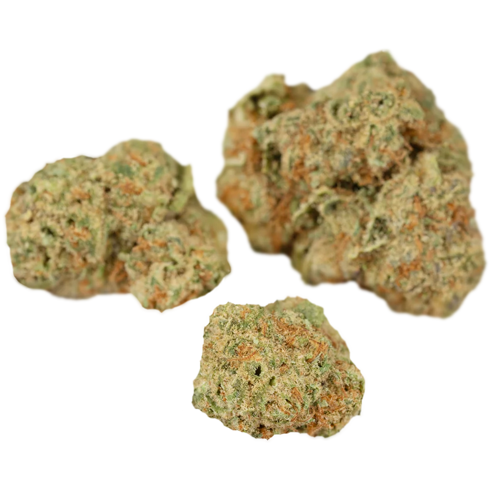 Cannamedical Sativa forte MA