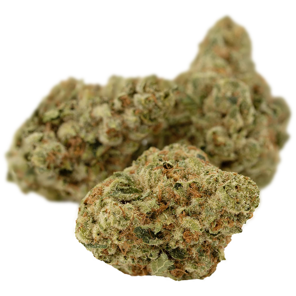 Cannamedical Sativa forte