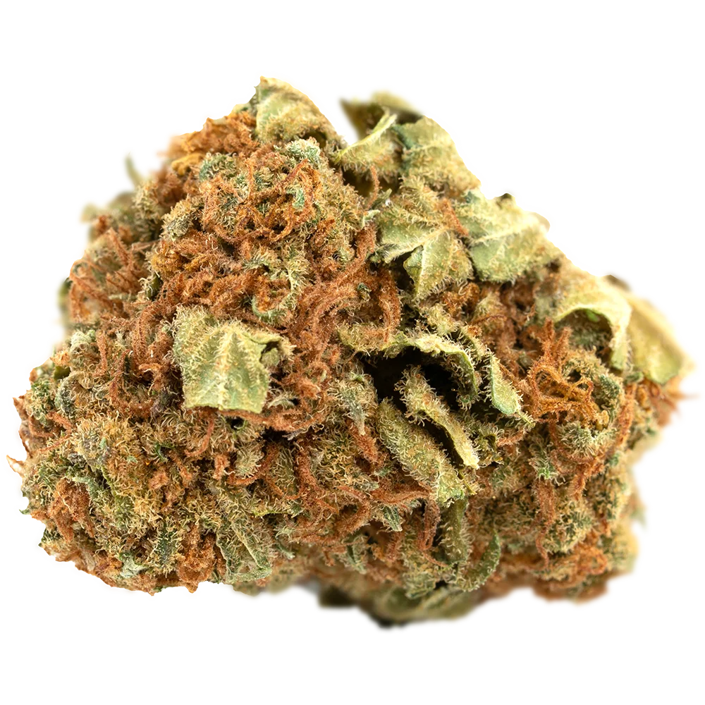 Cannamedical Sativa light