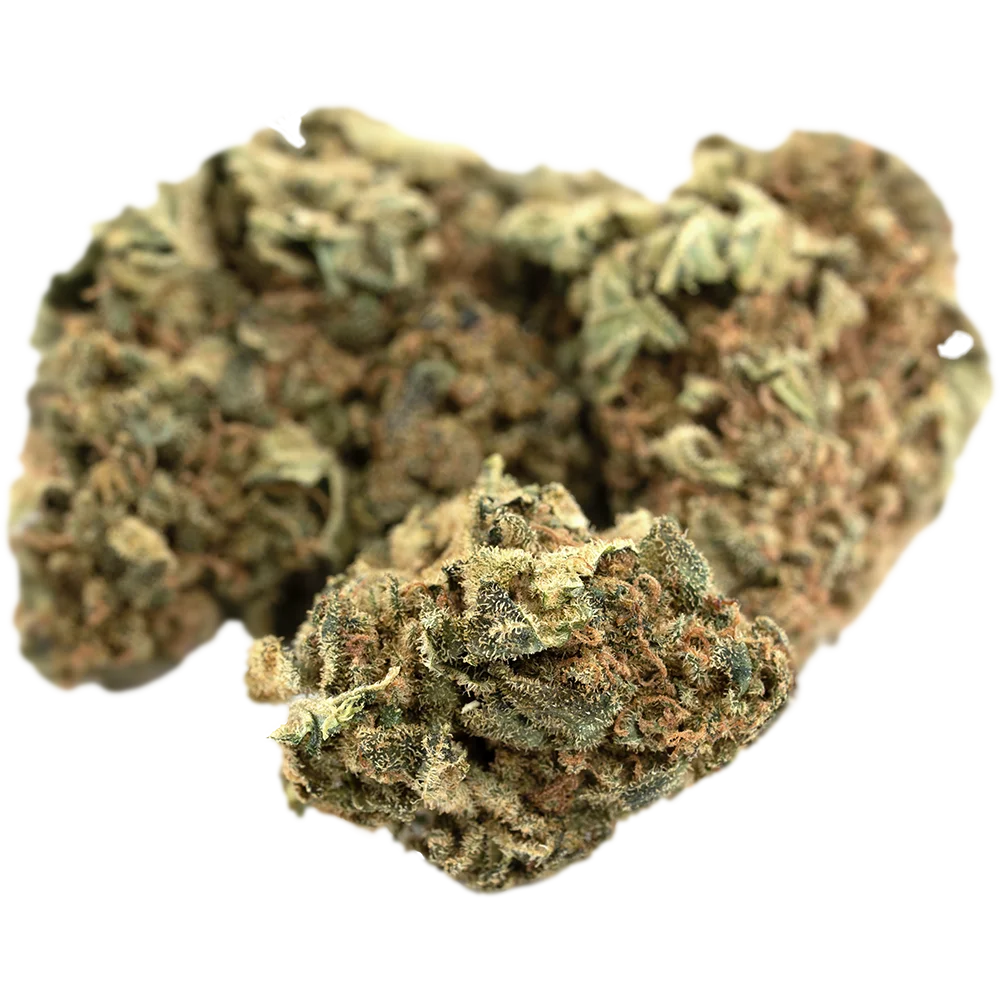 IMC CBD14 C01