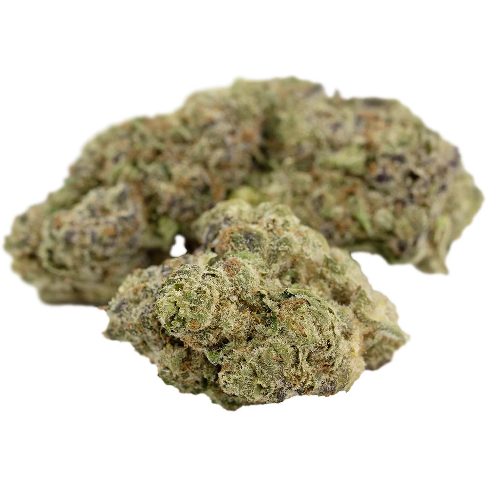 LOT 420 GLT