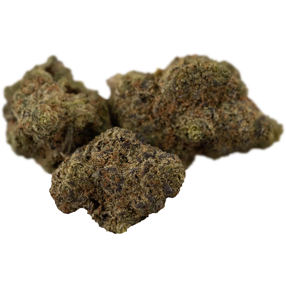 LOT 420 OC