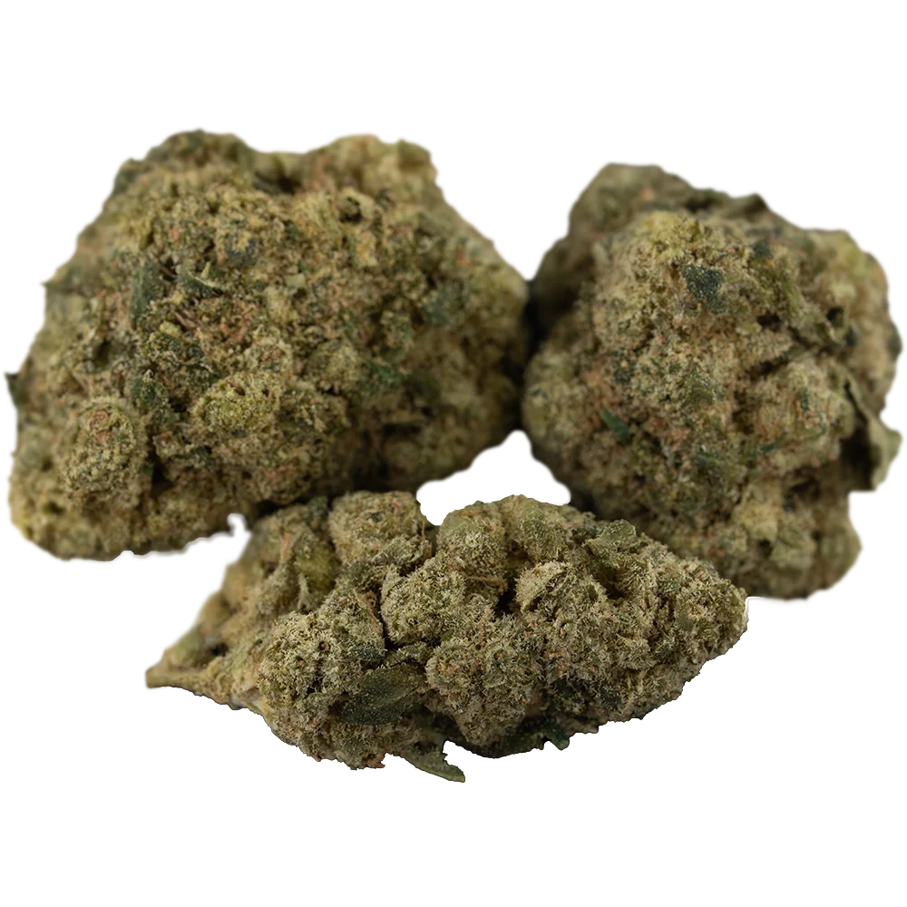 MAC 2+