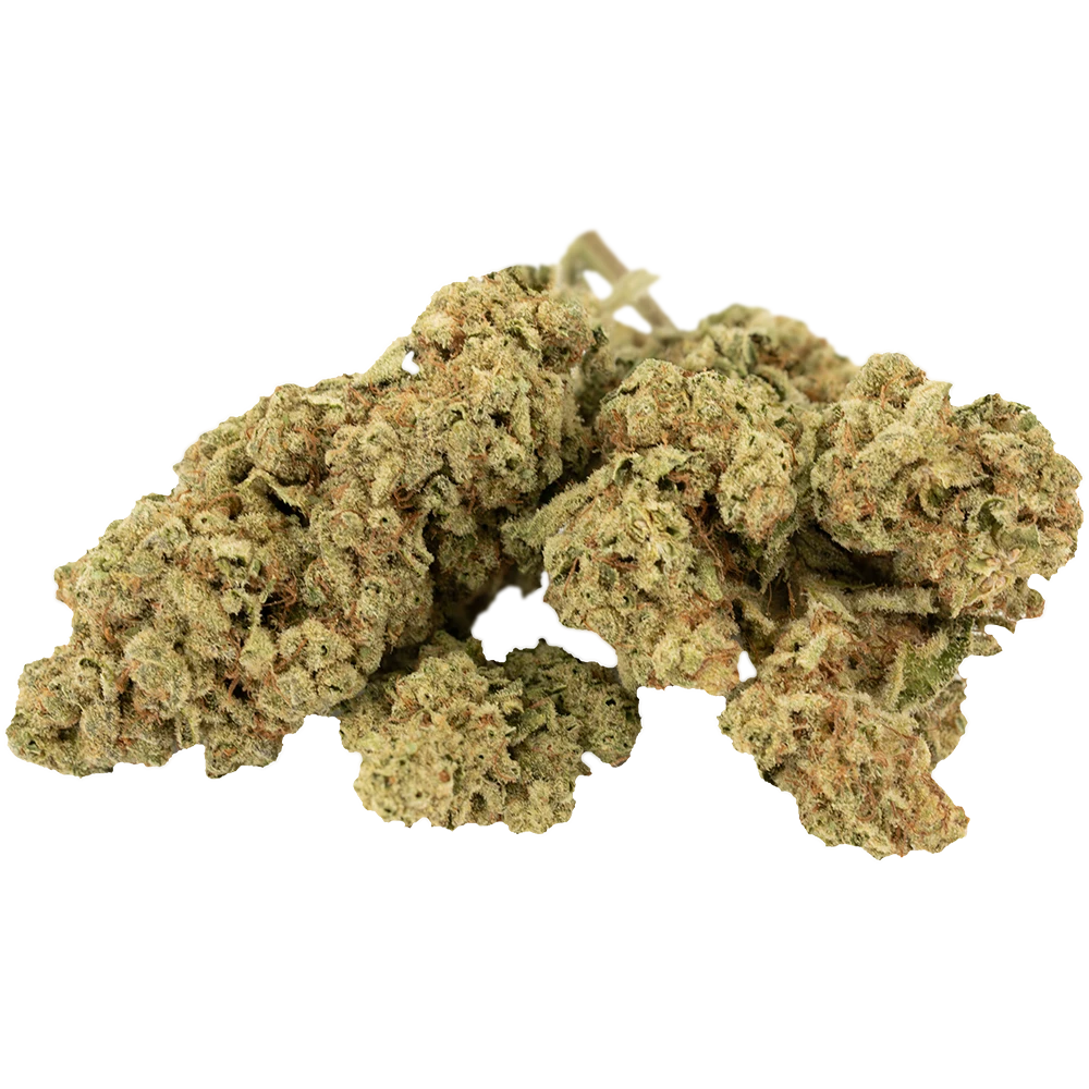 madrecan 21/1 MAC 
