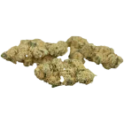 Peace Naturals 31/1 SC