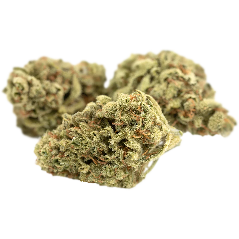 RE:CANNIS 21/1 Indica