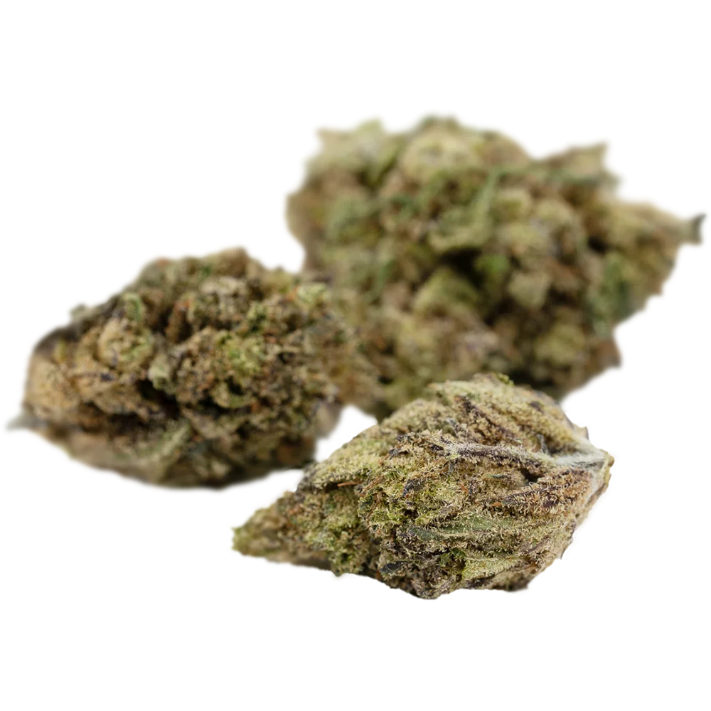 RE:CANNIS 1/15 CBD