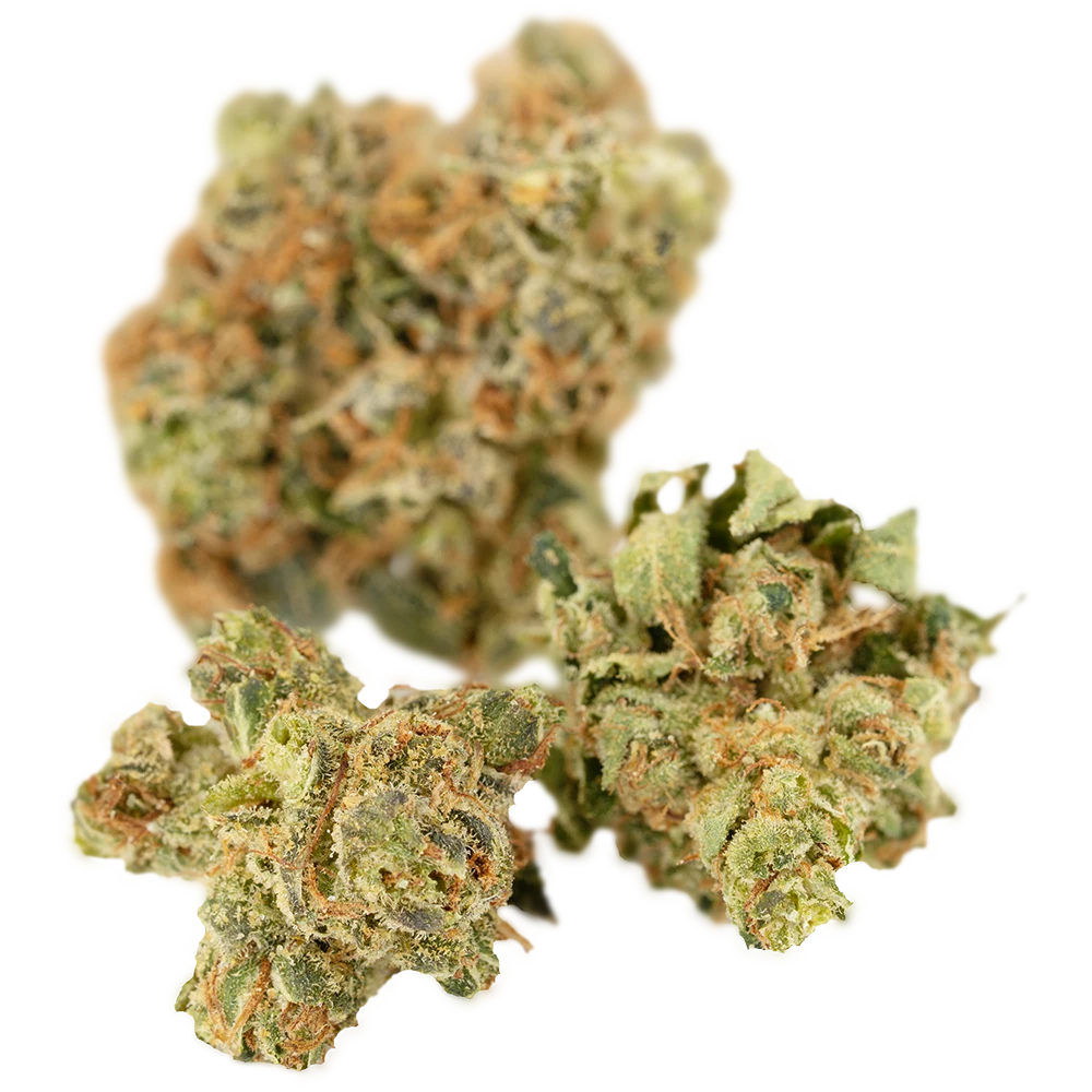 Canopy AKH 22