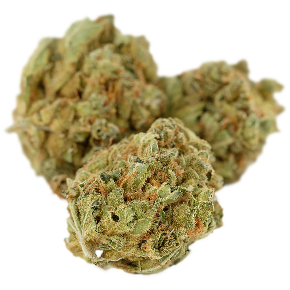 Canopy LSK 16