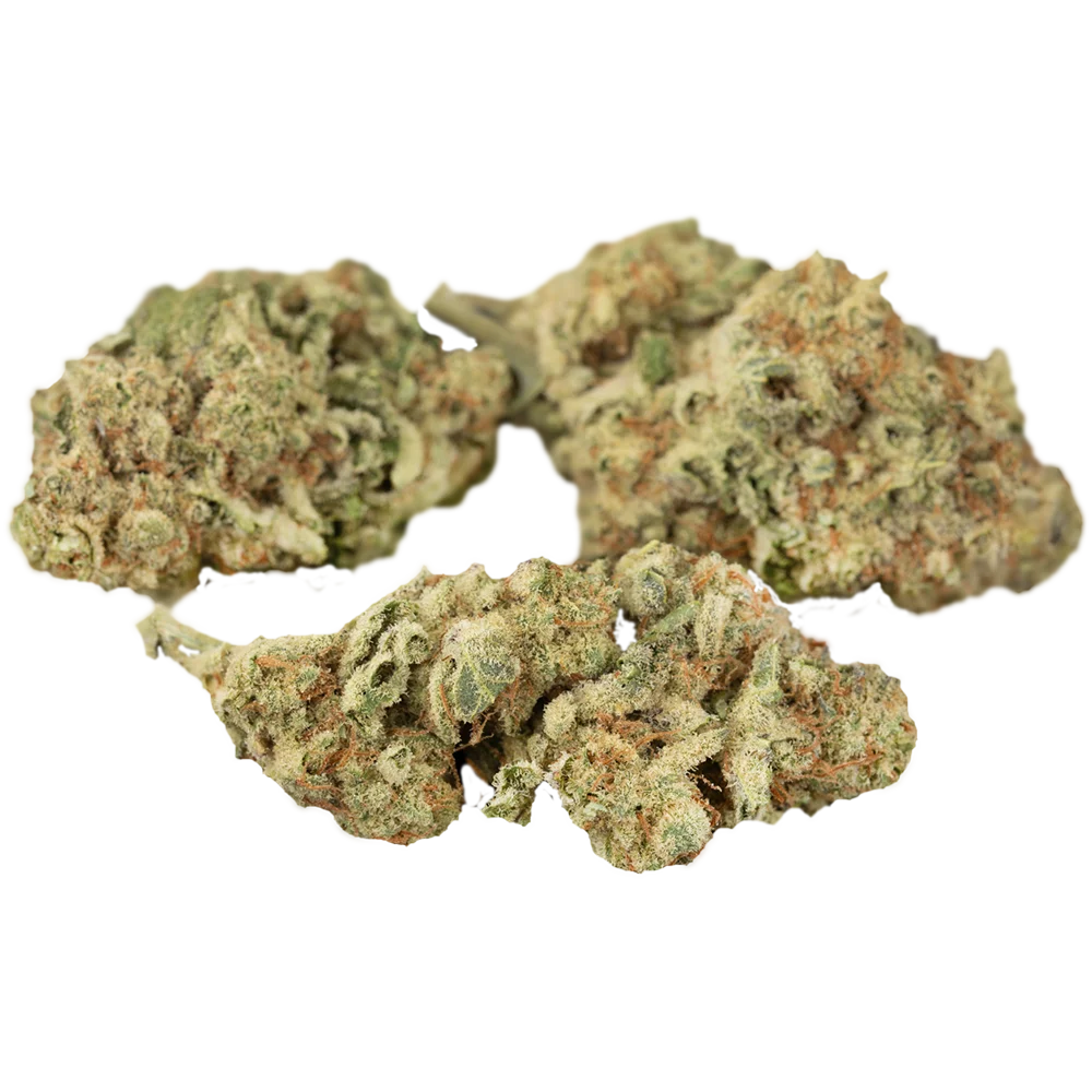 Sibanax Hybrid MCF 23/1