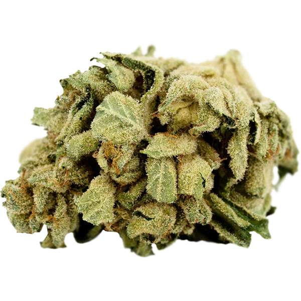 Tilray THC25 Indica No.2