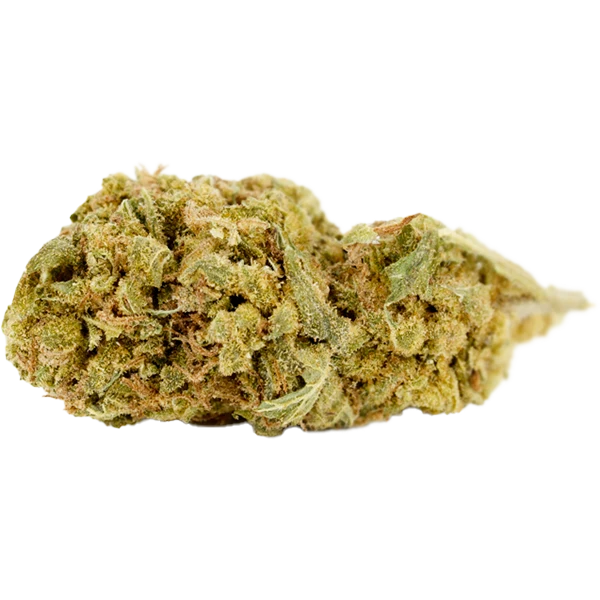 Tilray THC25 Spotlight Montevideo