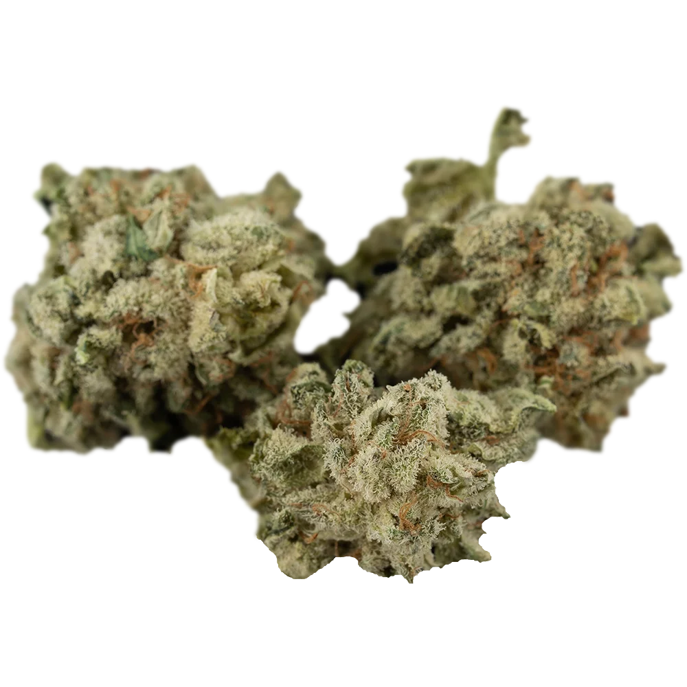 Bud Image