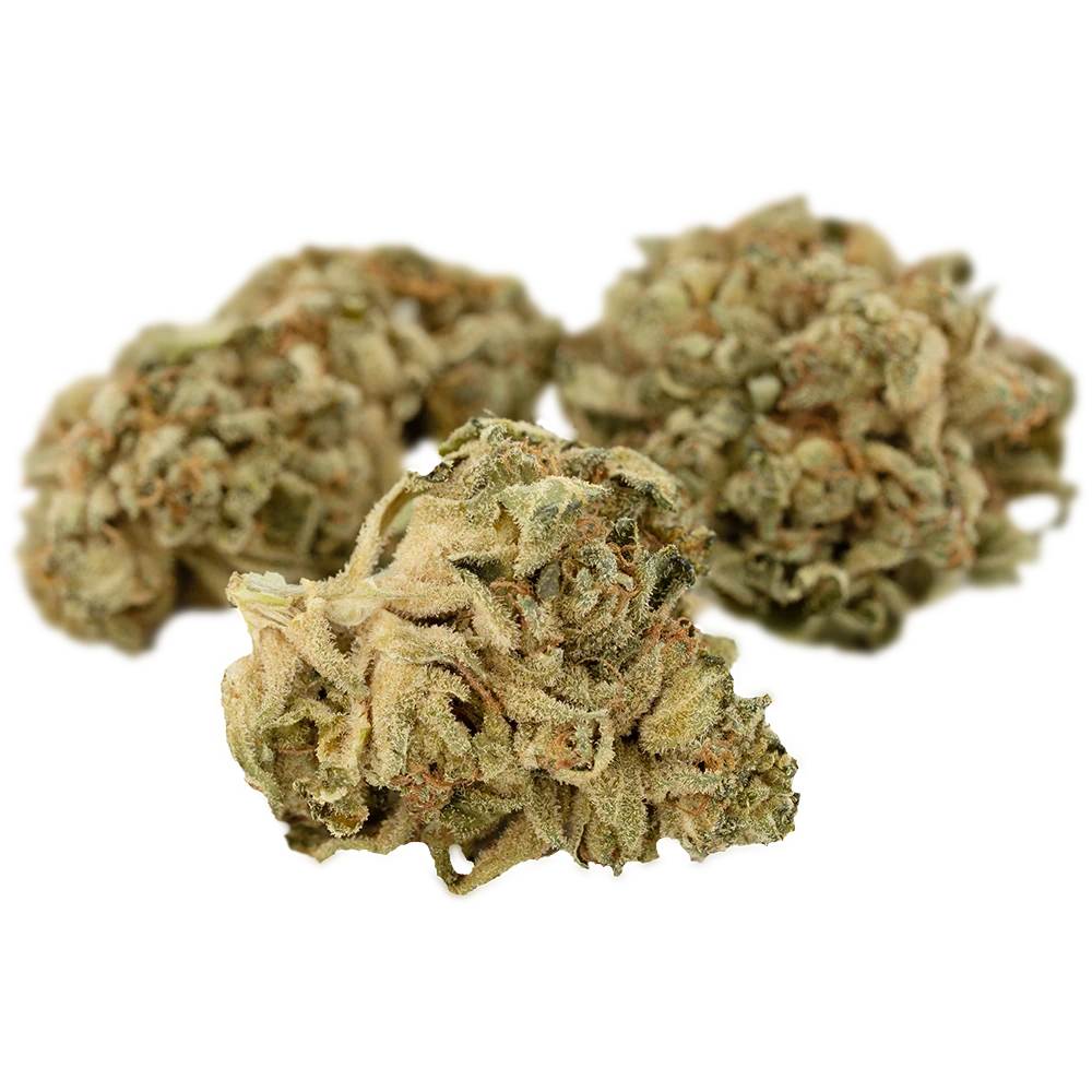 Tilray THC22 Indica No.2