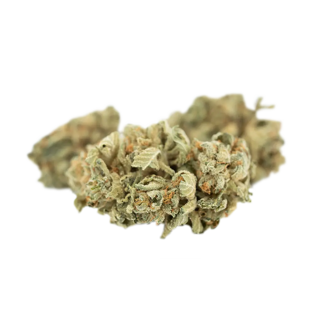 Tilray THC22 Spotlight Porto