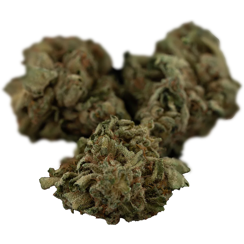 Tilray THC25 Spotlight Porto