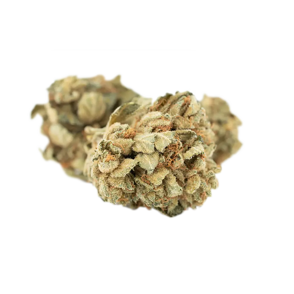 Tilray THC25 Spotlight Porto