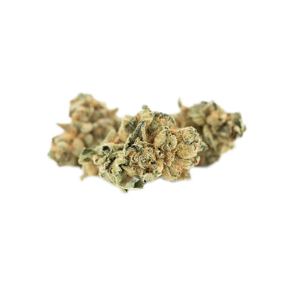 Tilray THC25 Spotlight Porto