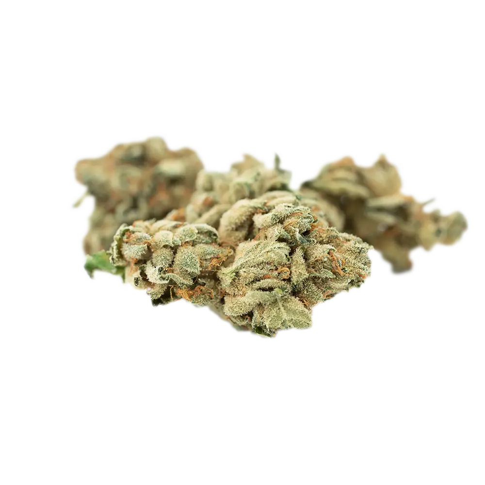 Tilray THC25 Spotlight Porto