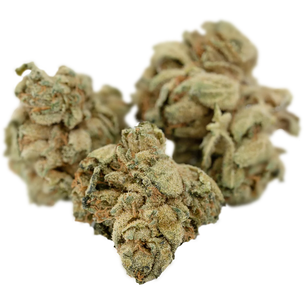 Tilray THC18 Spotlight Porto