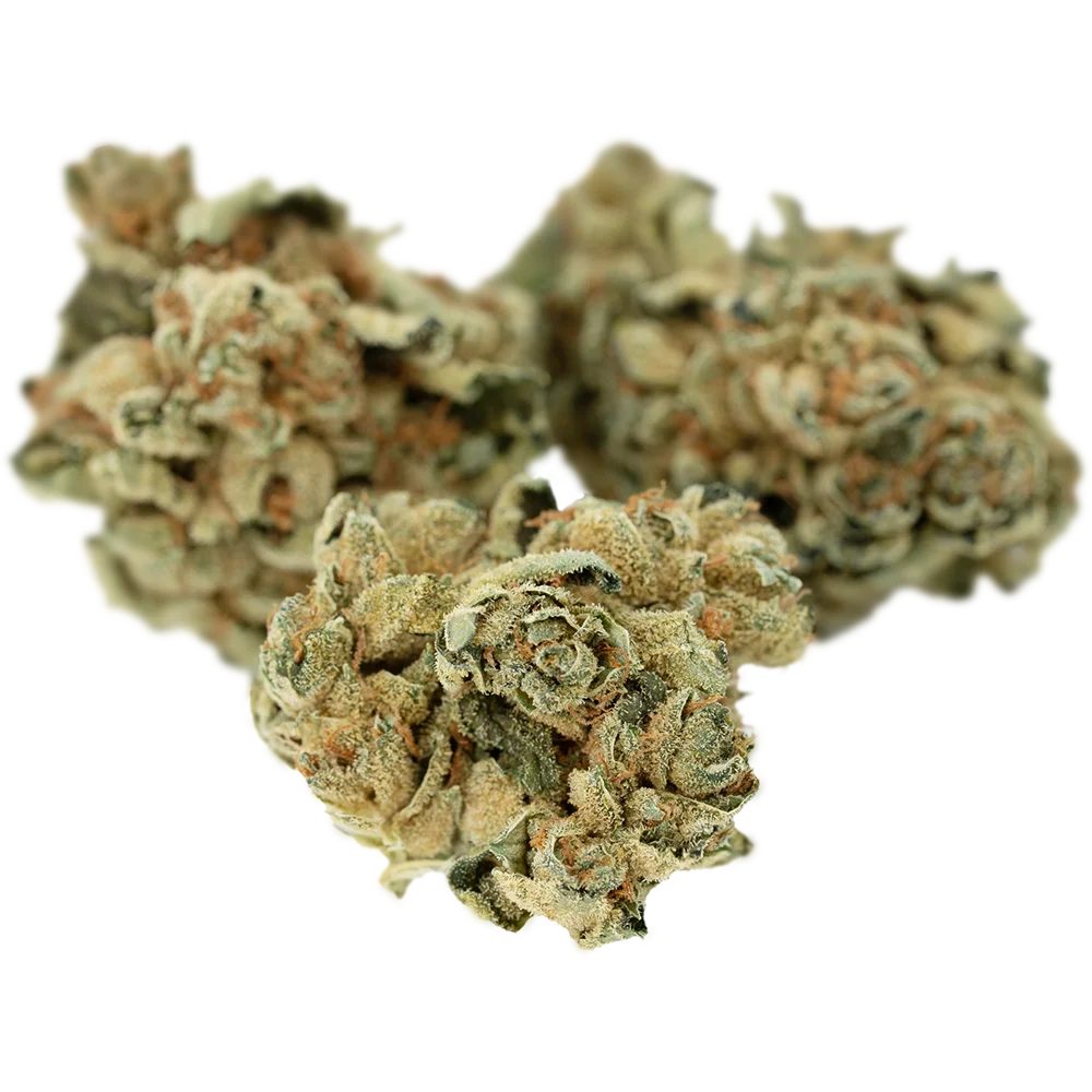 Tilray THC18 Spotlight Porto