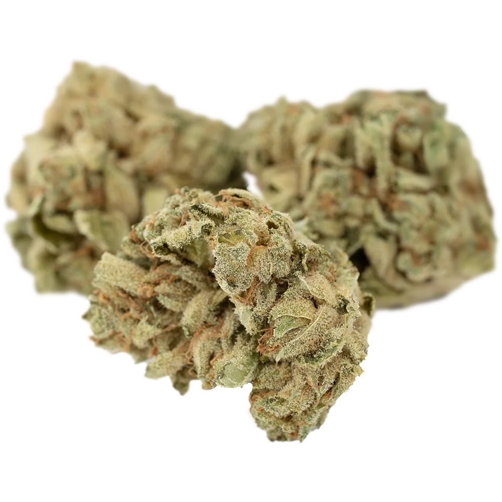 Tilray THC22 Sativa No.2