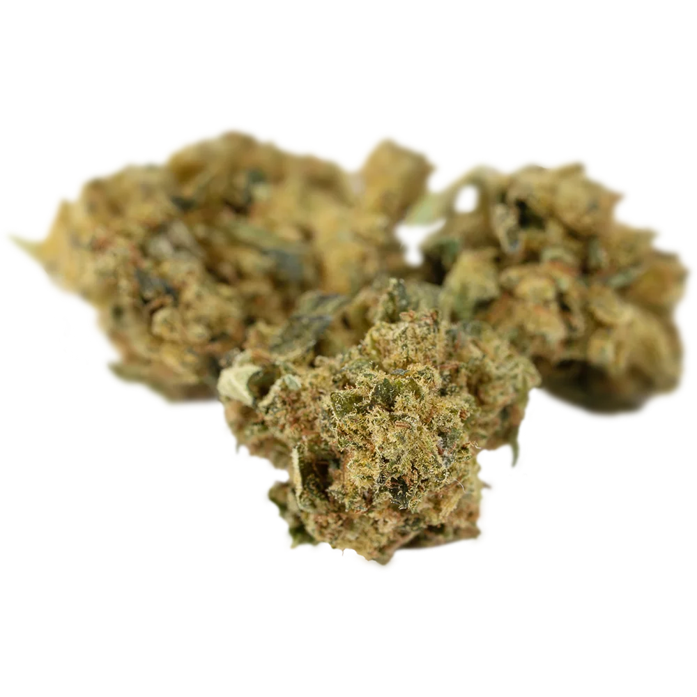Tilray THC22 Spotlight Montevideo