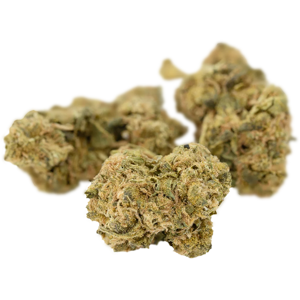 Tilray THC22 Spotlight Montevideo