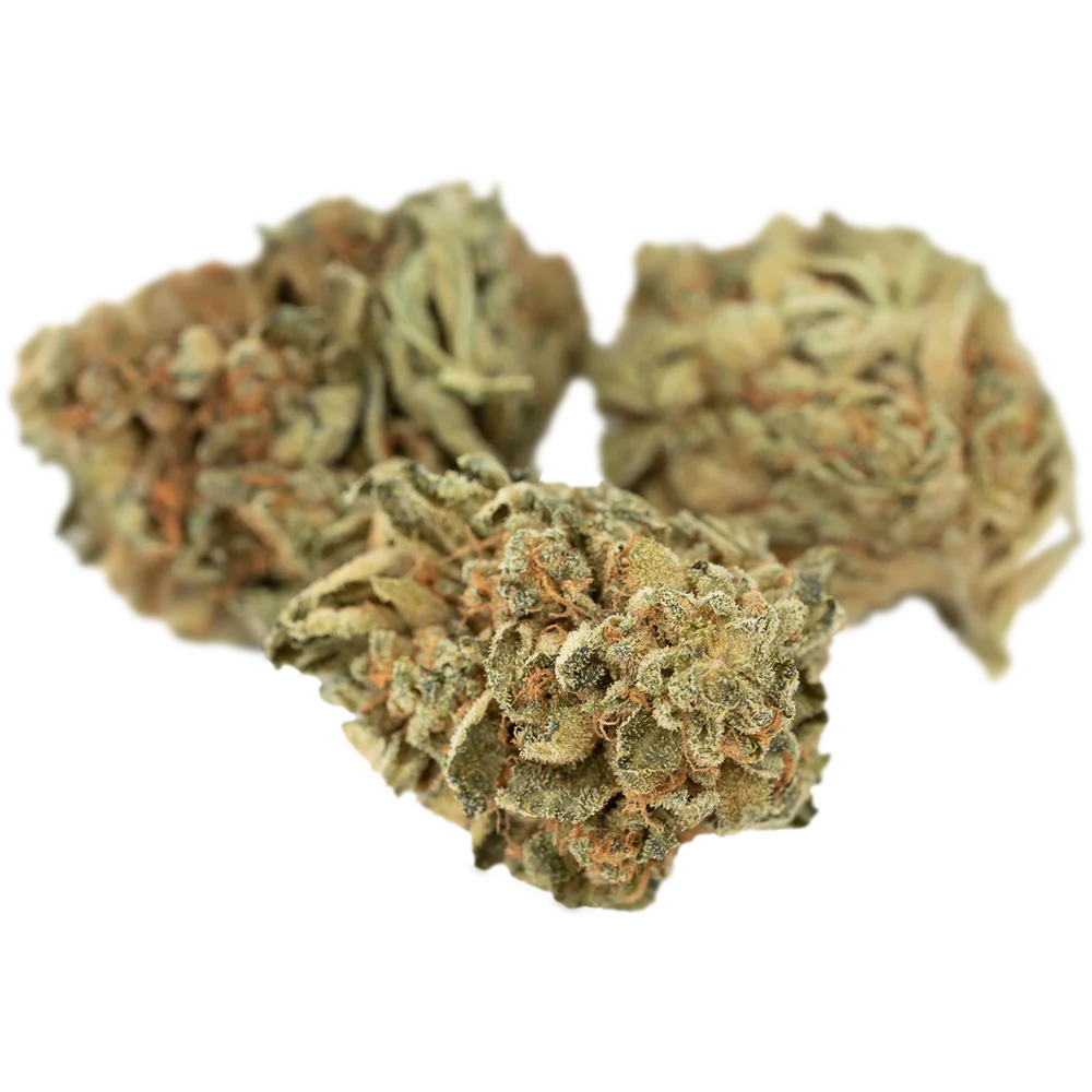 Tilray THC22 Spotlight Porto