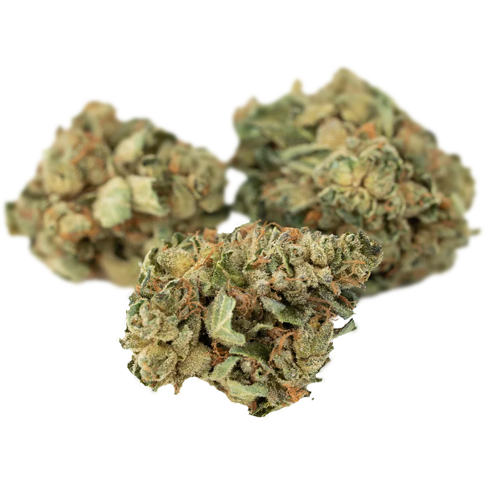 Tilray THC22 Spotlight Porto