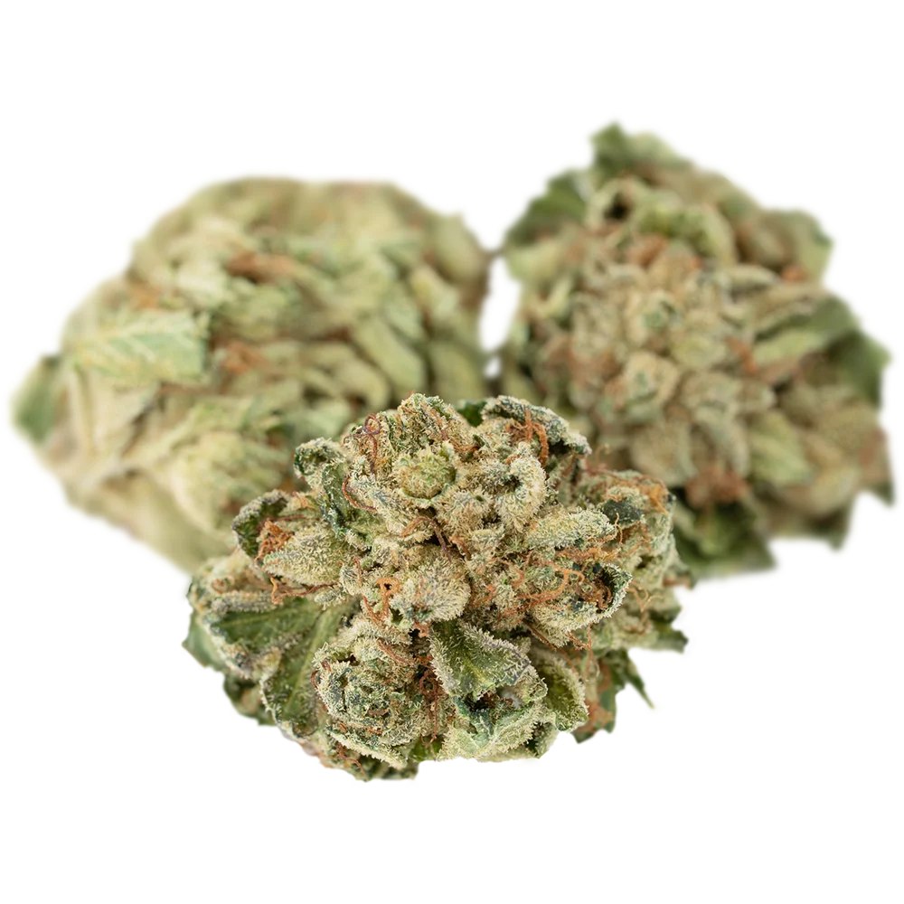 Tilray THC25 Sativa No.2