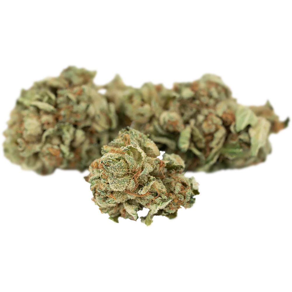 Tilray THC25 Spotlight Porto