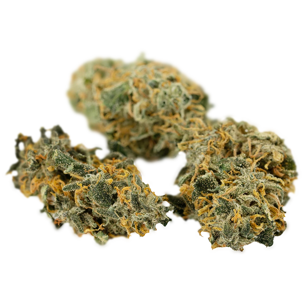 Typ 1 Aphria