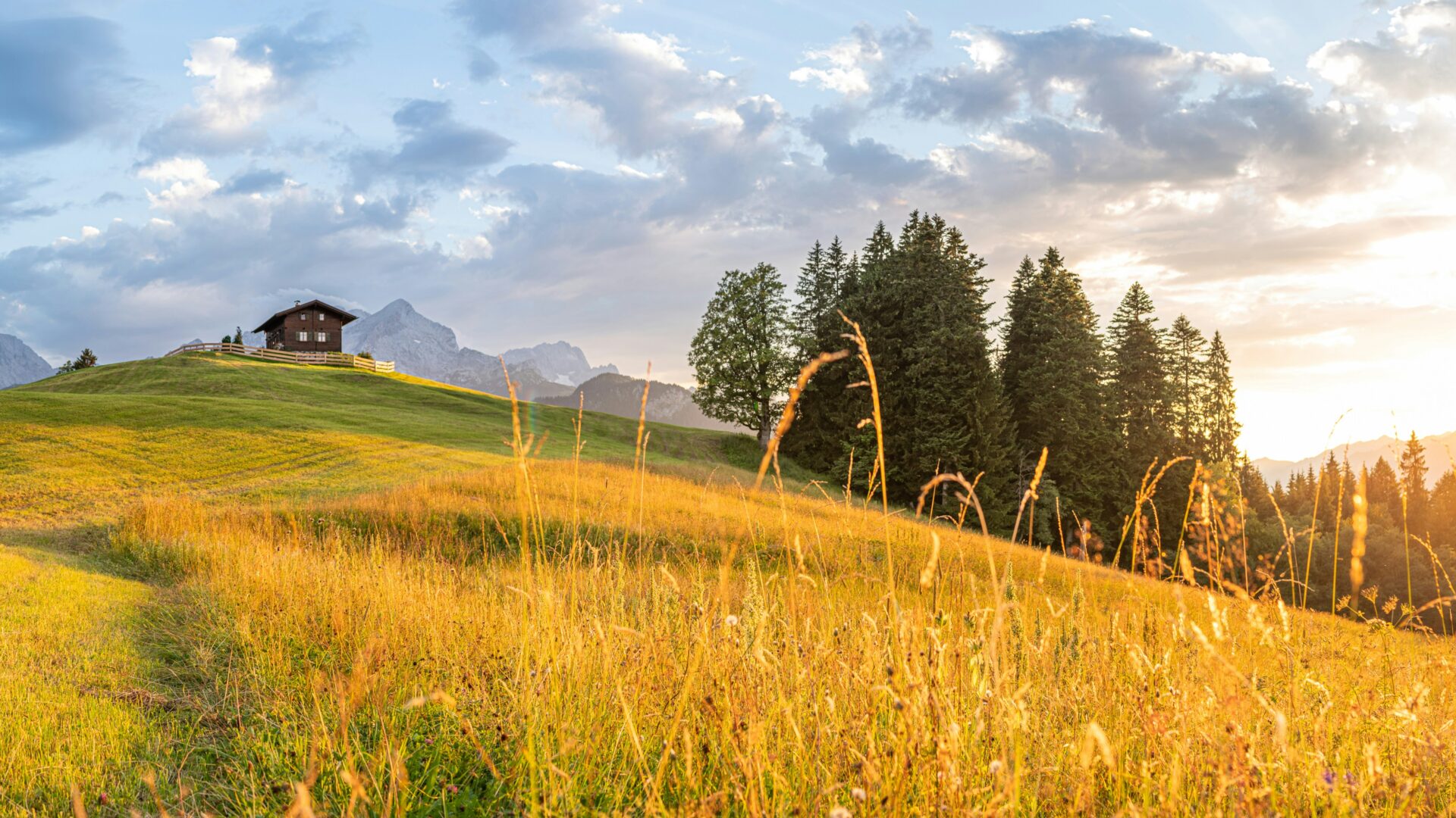 bayern-cannabis-legalisierung-greensby-news