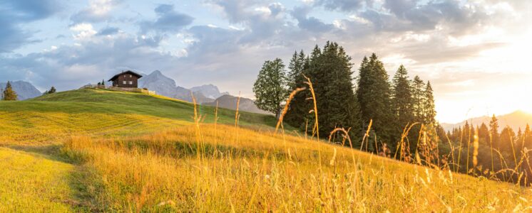 bayern-cannabis-legalisierung-greensby-news