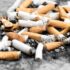 raucherkneipen-cannabis-erlaubt-news-greensby