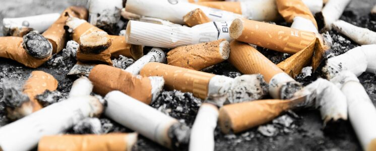 raucherkneipen-cannabis-erlaubt-news-greensby