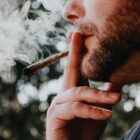 https://unsplash.com/photos/zocDX97pH6k